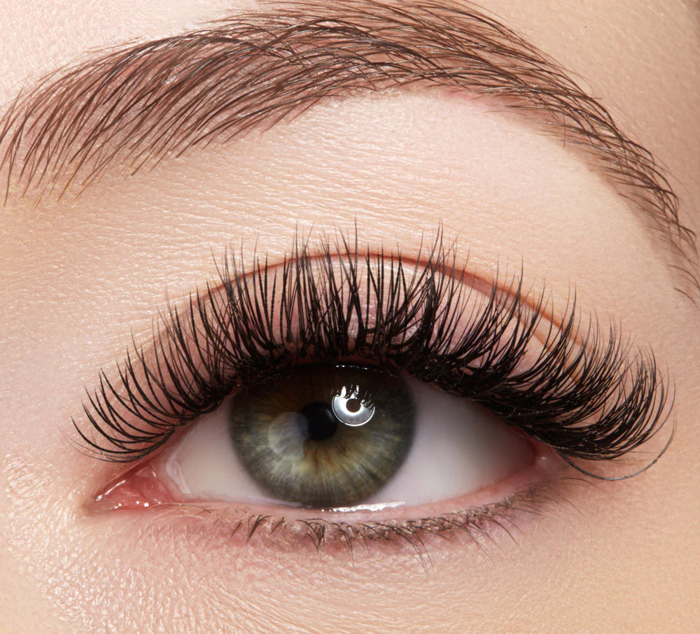 Classic Lash Extensions    Customization   Maintenance and Aftercare