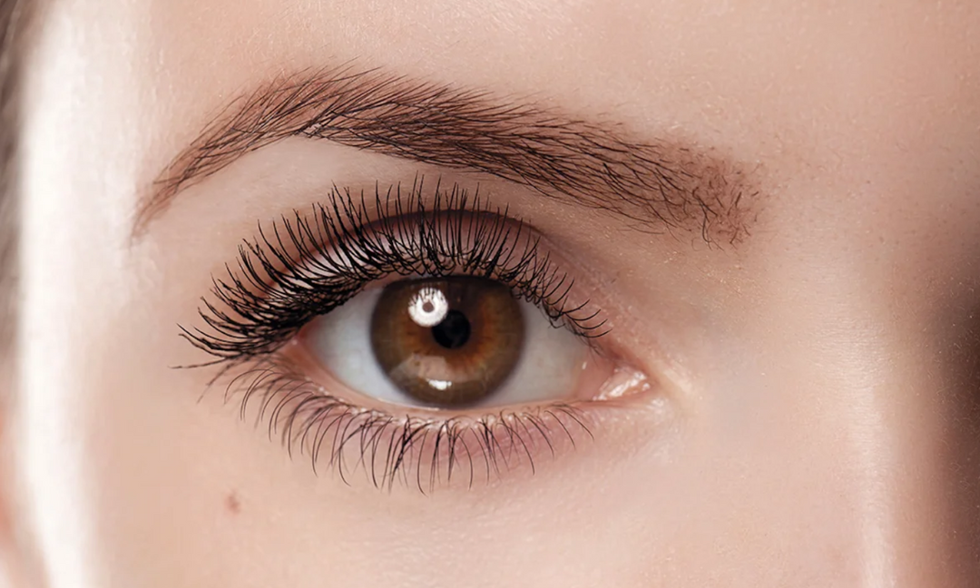 lash adhesive  Lash Application  magnetic lashes