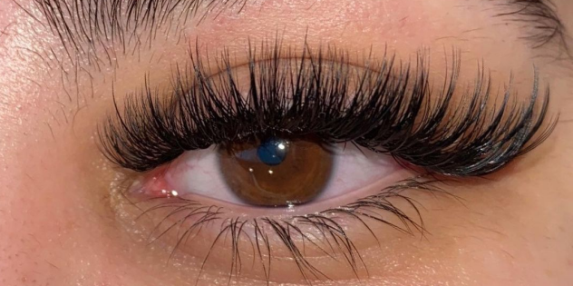Six types of essential basic knowledge for beginner eyelash artists