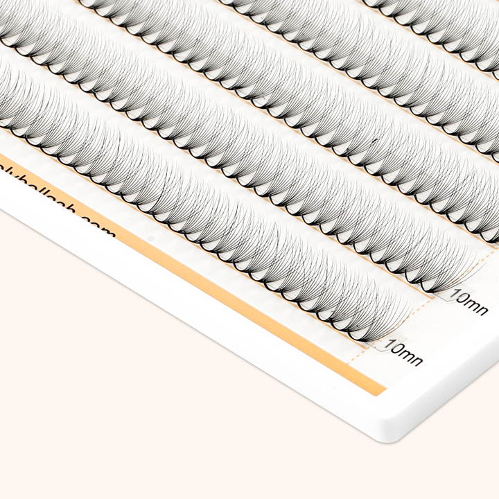 10D Narrow Promade Pointy Base Volume Lash Fans (1000 Fans)
