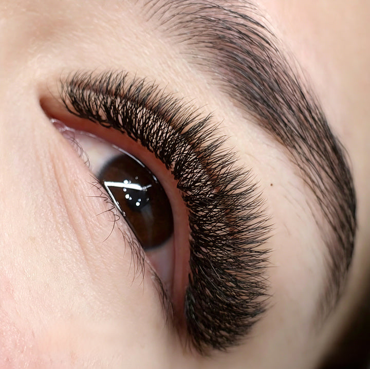 KOLYBEL YY Premade Volume Fans UYY Premade Volume Fans W SHAPED Premade Volume Fans U -SHAPED W Premade Volume Fans YY LASHES UY LASHES W LASHES UW LASHES