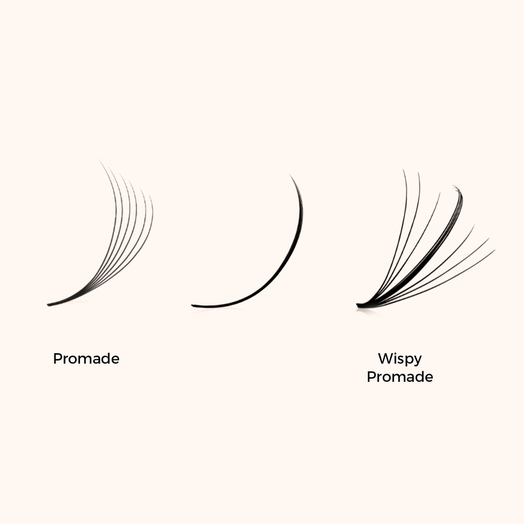 KOLYBEL Wispy Promade Pointy Base Volume Lash Fans(500 Fans)