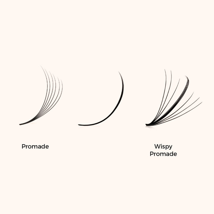 KOLYBEL Wispy Promade Pointy Base Volume Lash Fans(500 Fans)