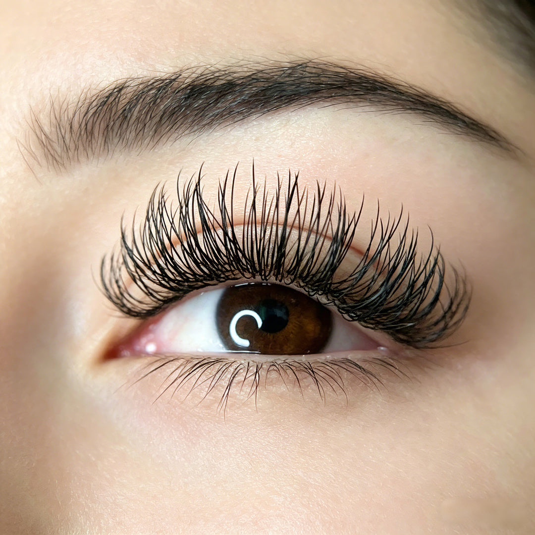 KOLYBEL LASH Ellipse Flat Lashes 
