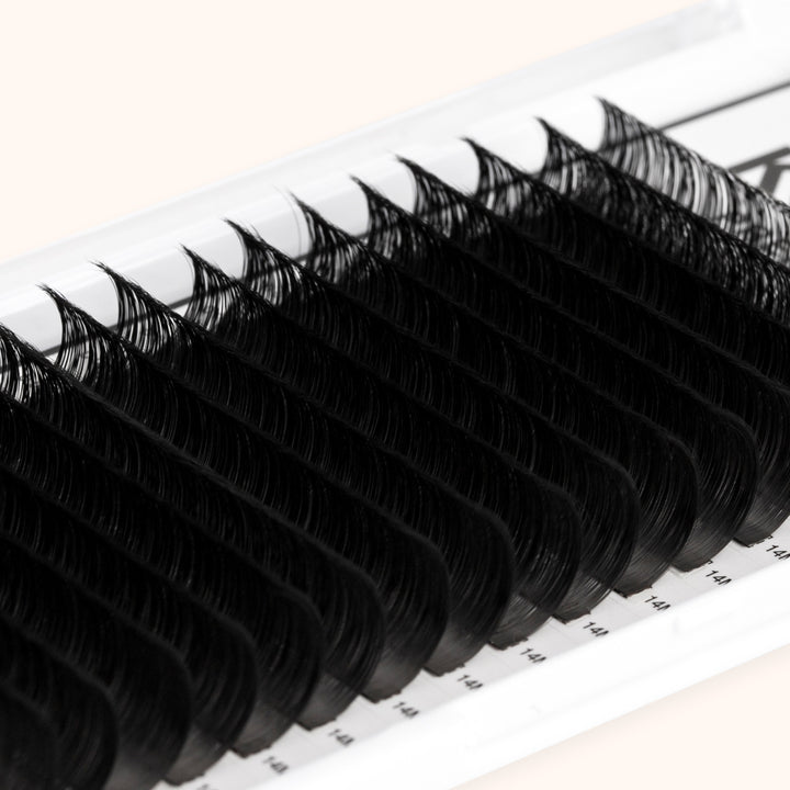 KOLYBEL Premium Lash Extensions 0.05mm(16Rows)