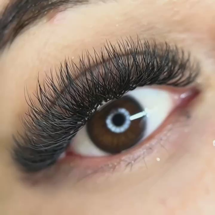 KOLYBEL W Style Premade Volume Fan Lashes